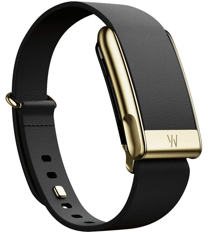 Кожаный люксовый ремешок для Whoop MG LeatherLuxe Straight Band (Black with Gold)